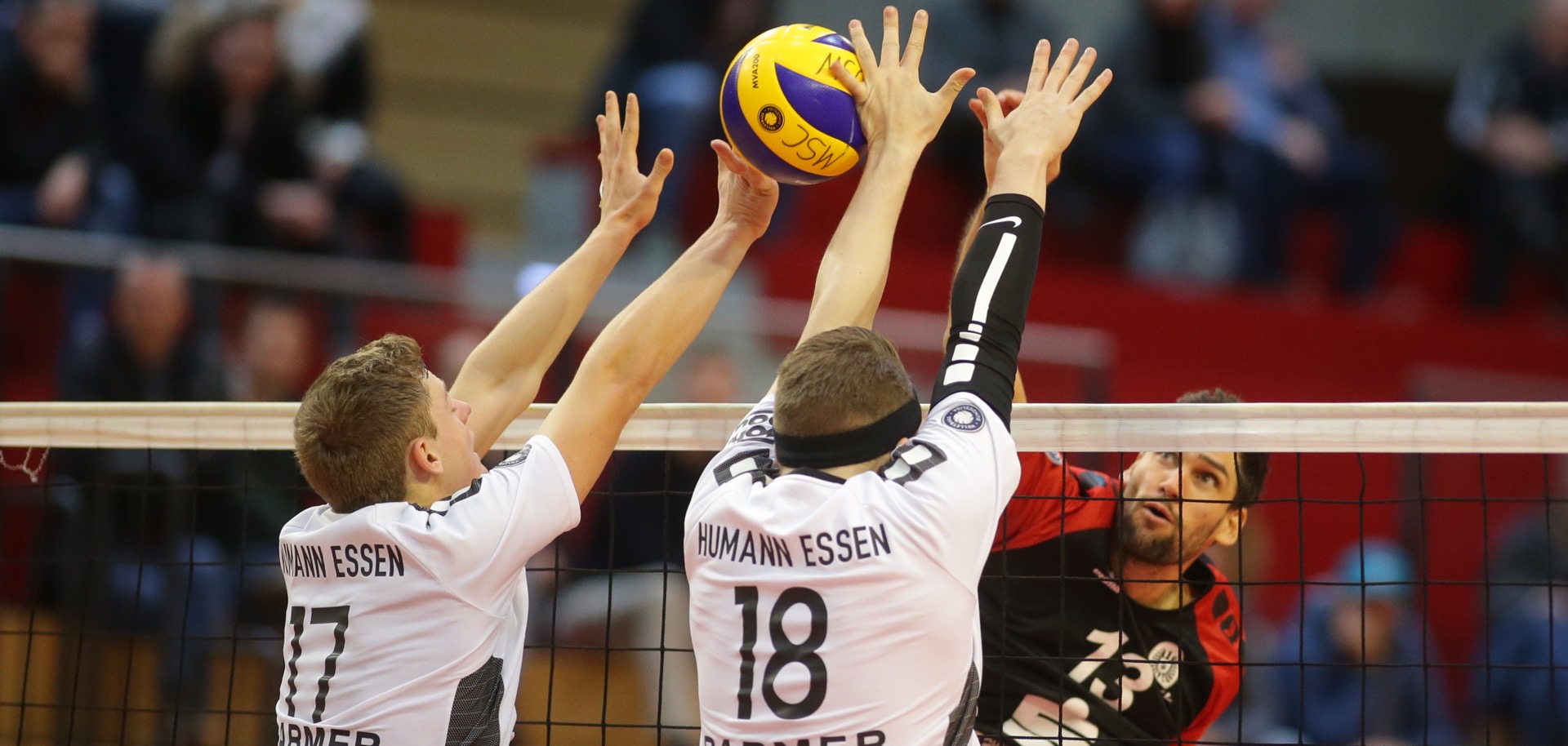 essens2
