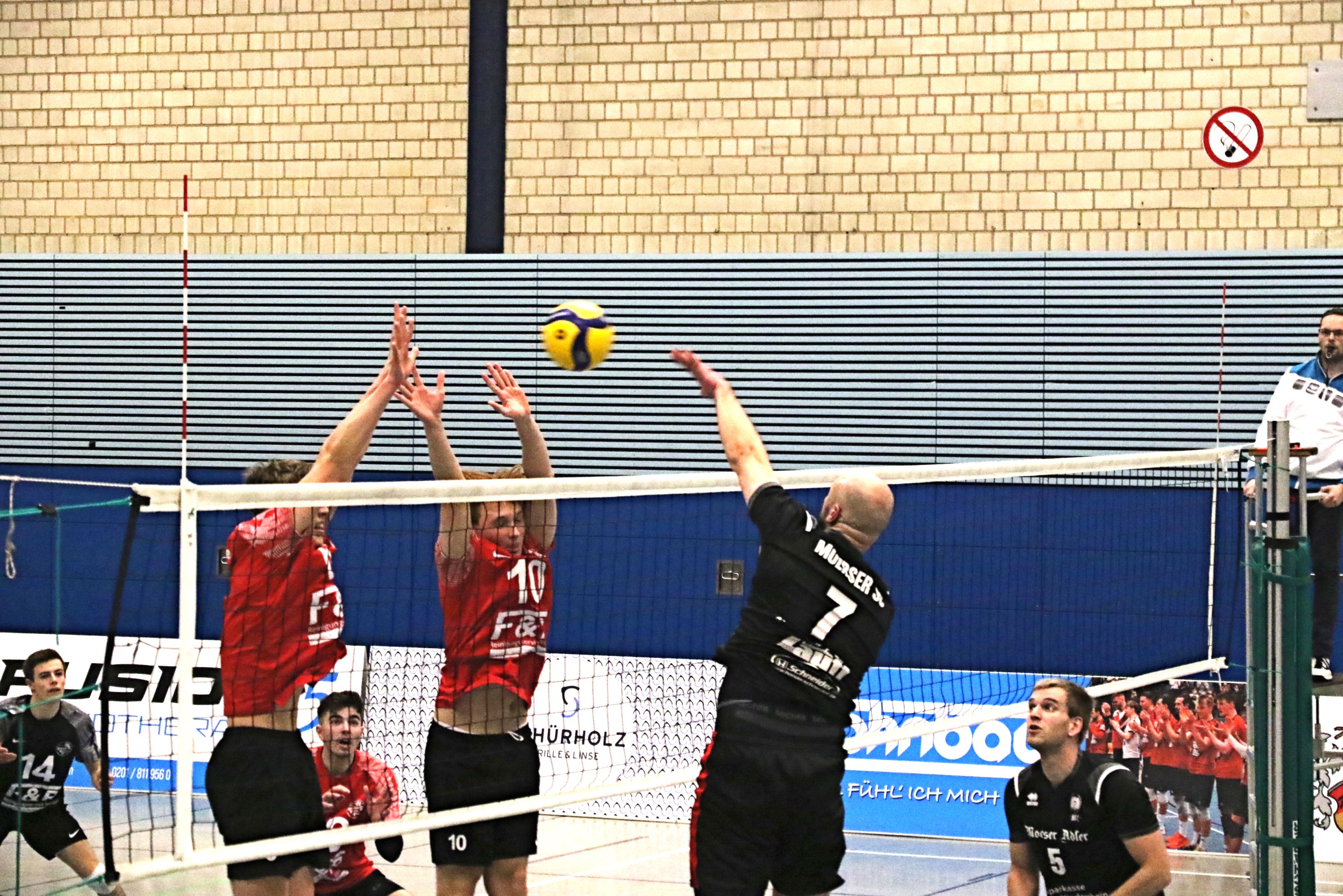 Flickr (18)